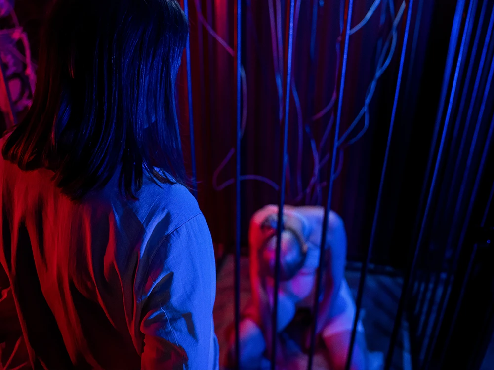 Квест Проект «Rabies» - фото 5/9