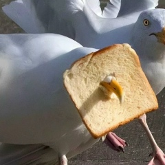 Аватар пользователя