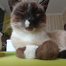 Аватар пользователя